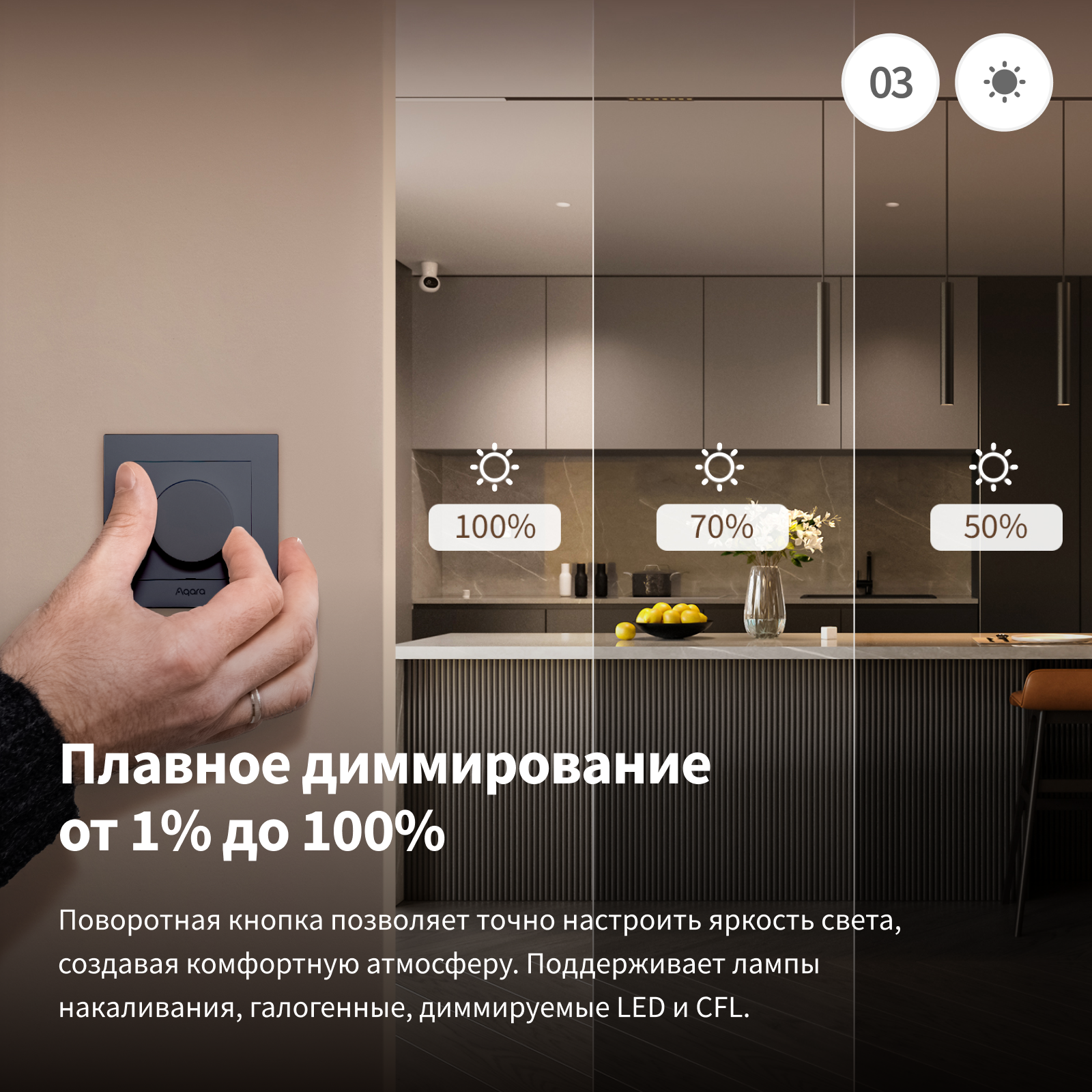 nastennyij-dimmer-h2-eu-aq-db85db-gallery-6